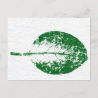 "Spring Apple #3" Landstraßen Postkarte