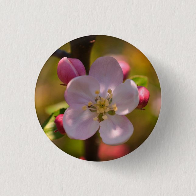 Spring Apple Blossom Button (Vorderseite)