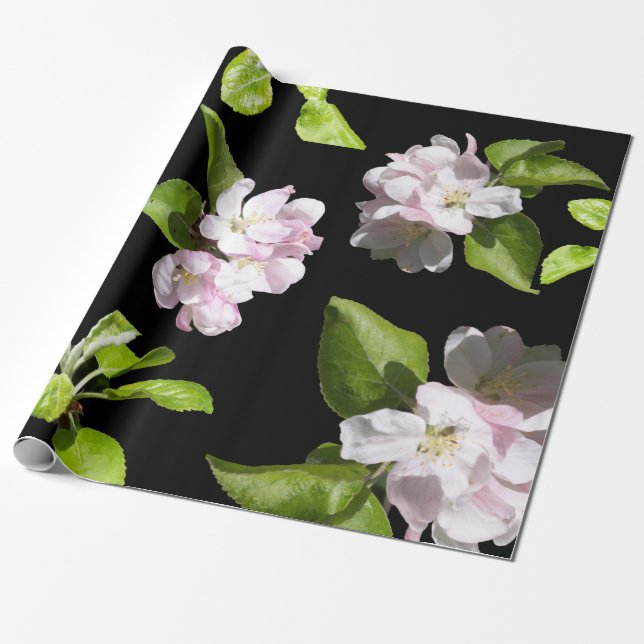 Spring Apple Blossom Wrapping Paper Matte Geschenkpapier (Ungerollt)