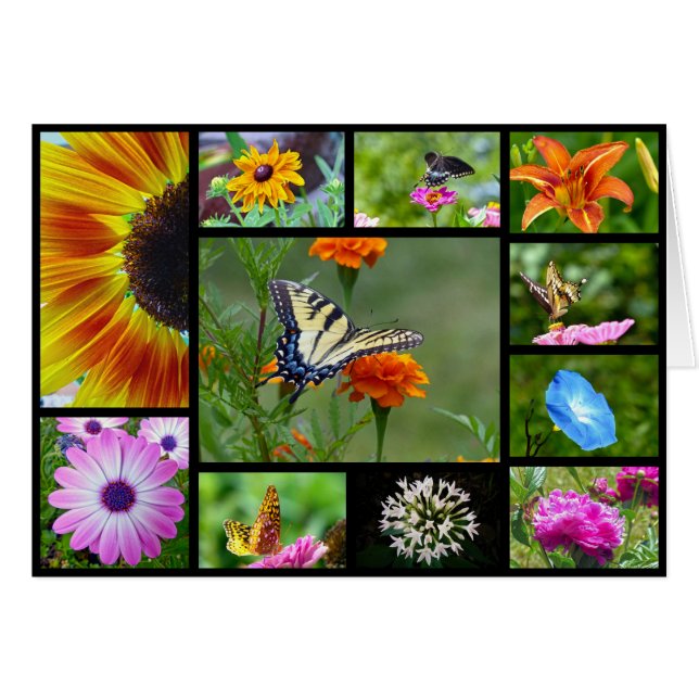 Spring Beauty (Vorderseite (Horizontal))