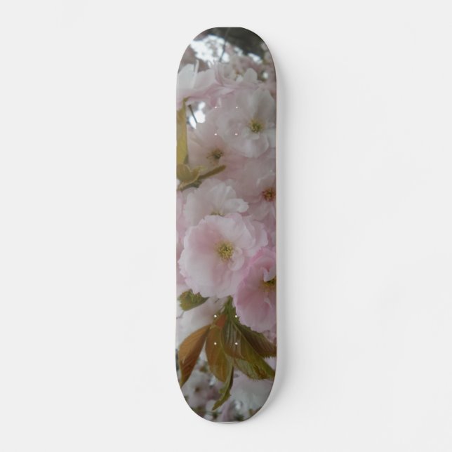 Spring Beauty Skateboards (Vorderseite)