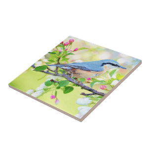 Spring Bird - Beautiful Fliese