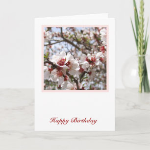 Spring Birthday Card Karte