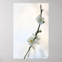 Spring Bliss