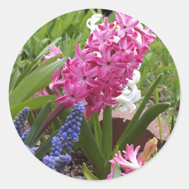 SPRING BLOOMS STICKERS (Vorderseite)