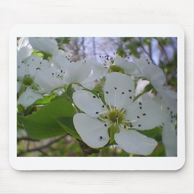 Spring Blossom Mousepad (Vorne)