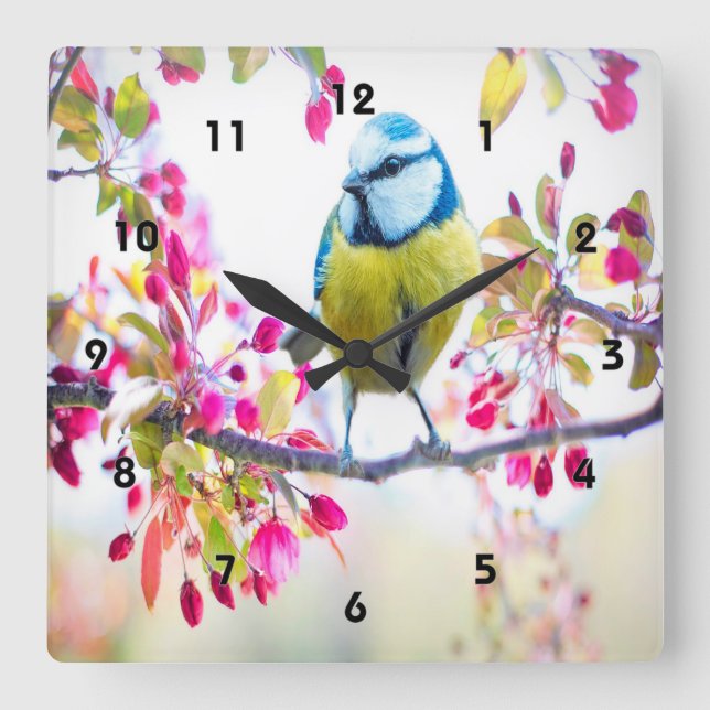 Spring Blue Bird Quadratische Wanduhr (Vorderseite)