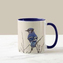 Spring Blue Jay Fine Art for Bird Lovers