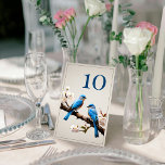 Spring Bluebirds Hochzeit Tischnummer<br><div class="desc">Fügen Sie Ihren Empfang-Tischen eine elegante Touch mit dieser Spring Bluebirds Wedding Tischnummer Card hinzu. Das Kartendesign besteht aus einem Paar Bluebirds,  die auf einem Holzzweig ruhen,  dessen Feder vor einem texturierten Hintergrund aus Papier blüht. Mit diesem Design sind auch weitere Hochzeitswaren erhältlich.</div>