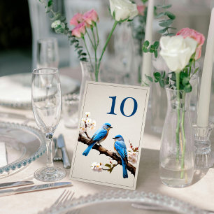 Spring Bluebirds Hochzeit Tischnummer