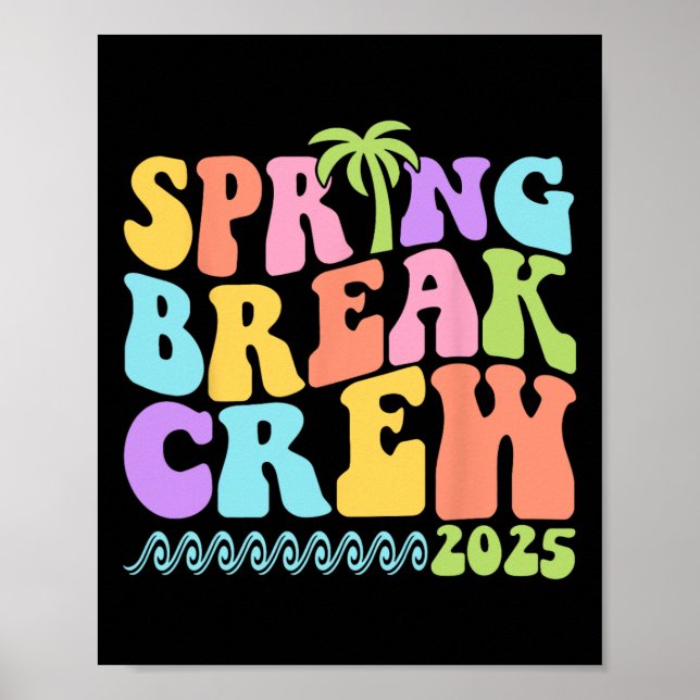 Spring Break Crew 2025 Matching Family Group Vacat Poster (Vorne)