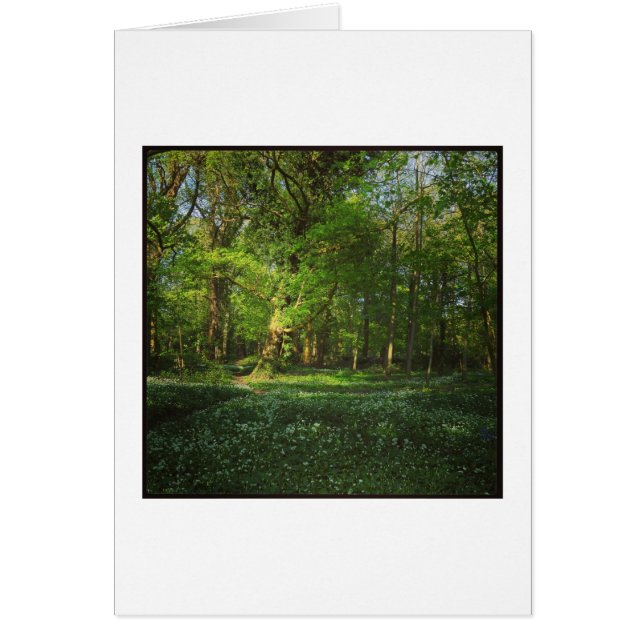 Spring Bute Park, Cardiff, Wales (Vorne)