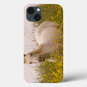 Spring Case-Mate iPhone Hülle