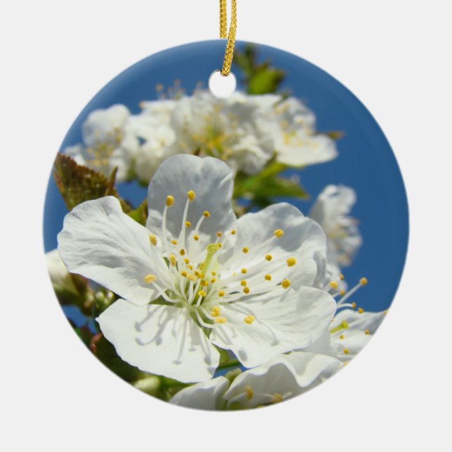 Spring Cheroms White Blue Sky Brauch Keramikornament (Vorne)