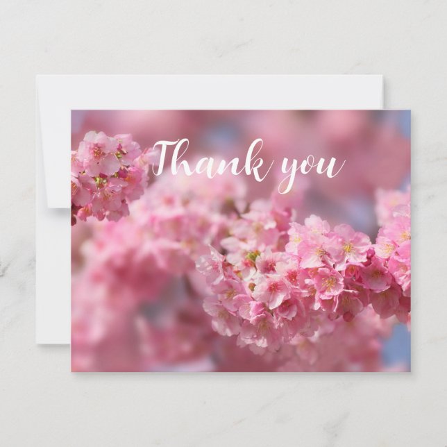 Spring Cherry Blossom Floral Sakura Danke (Vorderseite)