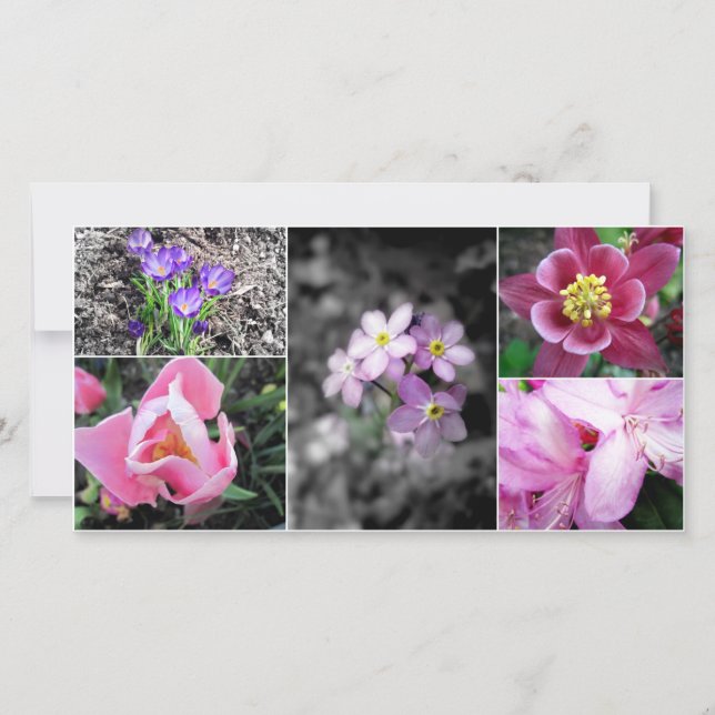 Spring Collage Fotokarte (Vorderseite)