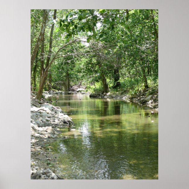 Spring Creek Tributary Poster (Vorne)