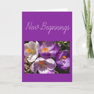 Spring Crocus New Beginncard Karte