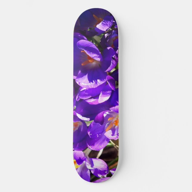 SPRING CROCUS SKATEBOARD (Vorderseite)