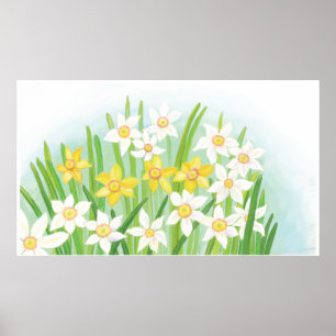 Spring Daffodil Poster