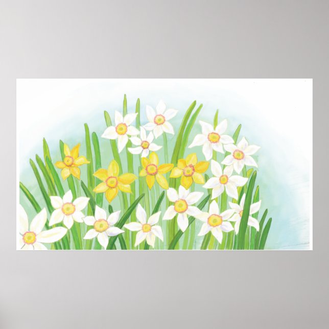 Spring Daffodil Poster (Vorne)
