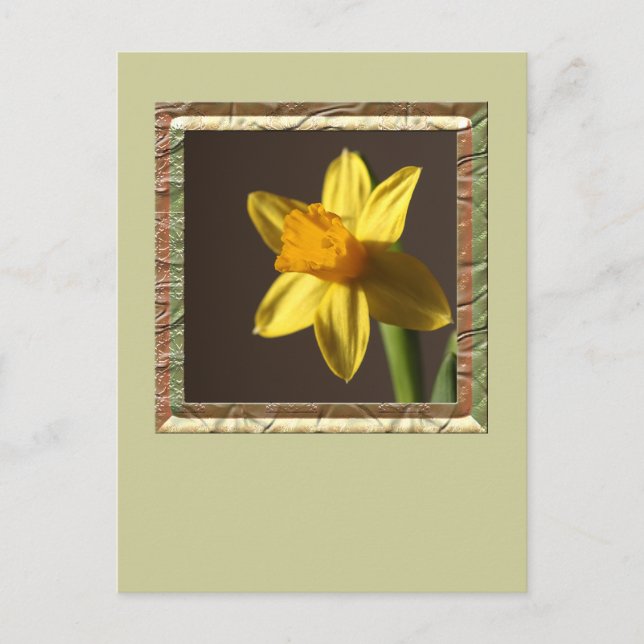 Spring Daffodil Postkarte (Vorderseite)