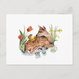 Spring Deer Postkarte
