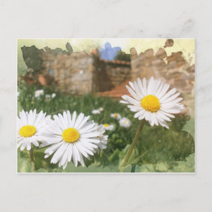 Spring.digitalArt. Postkarte