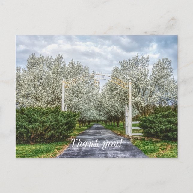 Spring Drive Zuhause Vielen Dank Postkarte (Vorderseite)