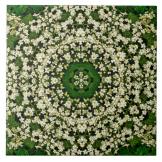 Spring Elderberry Blume Keramik Tile Fliese