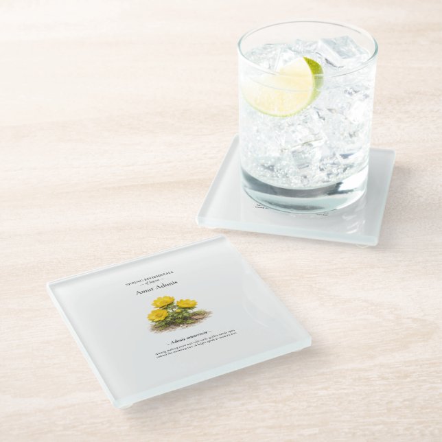 Spring Ephemerals of Japan – Amur Adonis Glasuntersetzer (Schrägansicht)