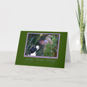 Spring Equinox Card Schmetterling und Welpe Ostara Karte