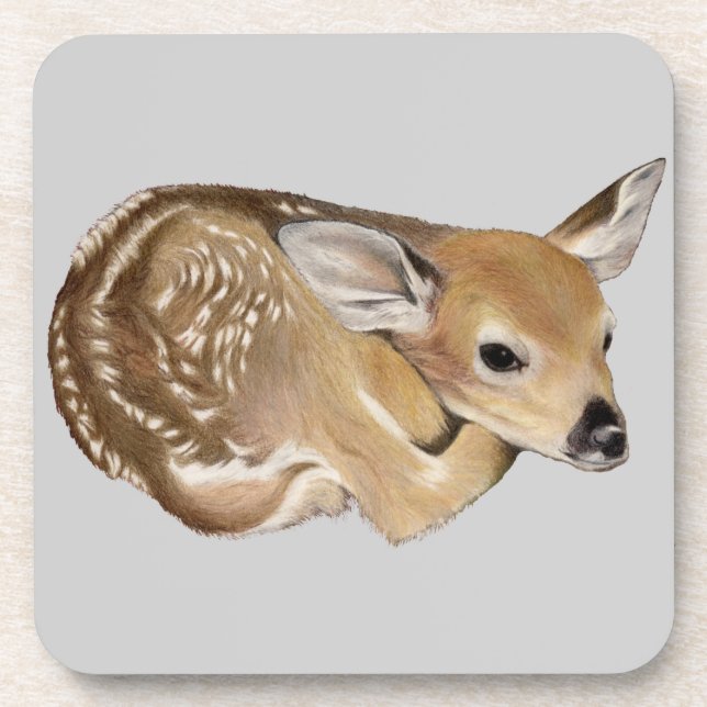 Spring Fawn Getränkeuntersetzer (Vorderseite)