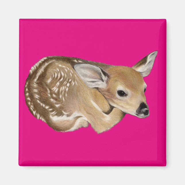Spring Fawn Magnet (Vorne)