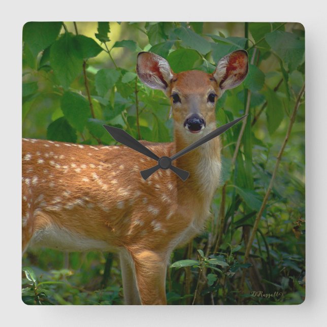 "Spring Fawn" Quadratische Wanduhr (Vorderseite)