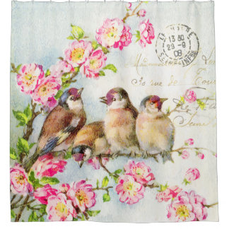 Spring Feathers Duschvorhang