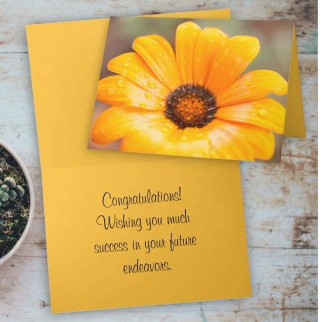 Spring Flash African Daisy Nah-Up-Fotovorlage Karte (cover and inside template text greeting card)