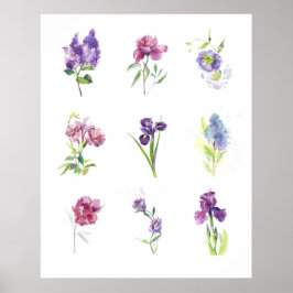 Spring Floral Study Watercolor Wall Art Poster