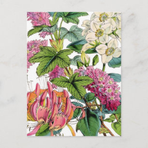Spring Florals Postkarte