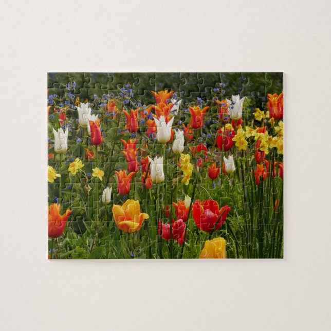 Spring Flowers Puzzle (Horizontal)