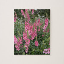 Spring Garden Blume