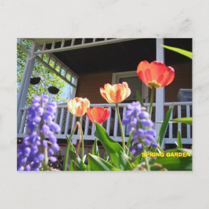 SPRING GARDEN POSTKARTE