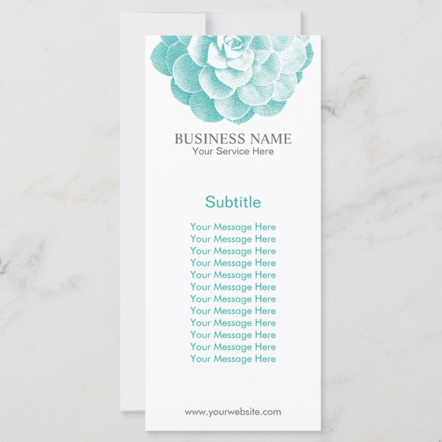 Spring Garden Sukkulent Elegante (Vorderseite)