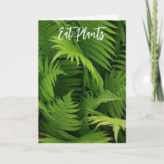SPRING GREEN FERN FOTO GREETCARD KARTE