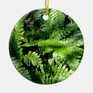Spring Green Ferns boho botanisch Keramik Ornament