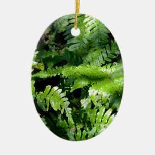 Spring Green Ferns boho botanisch Keramik Ornament