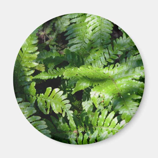 Spring Green Ferns boho botanisch Magnet (Vorne)