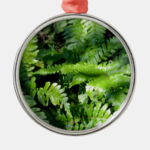 Spring Green Ferns boho botanisch Ornament Aus Metall