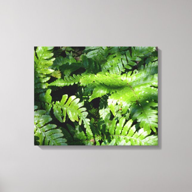 Spring Green Ferns Leinwanddruck (Vorderseite)