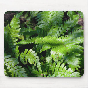 Spring Green Ferns Mousepad
